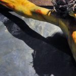 “El amor de Dios no puede llegar a más”
