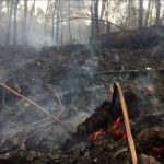 Nota de los obispos de la Provincia Eclesiástica de Santiago ante los incendios de Galicia