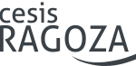 Comunicado del Arzobispado de Zaragoza: en defensa de la Santísima Virgen del Pilar
