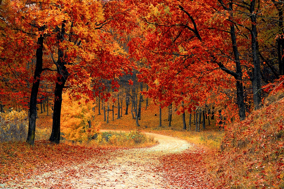 otoño01