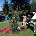 Mensaje del Papa en la Jornada de Oración por el Cuidado de la Creación