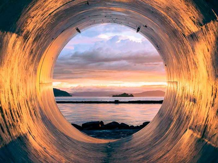 2020-mar-ecologia-702x526