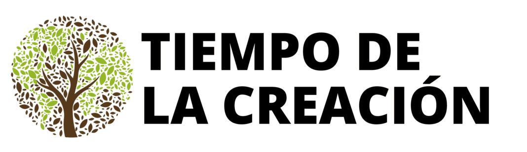 tiempo de la creación