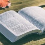 23 de enero, Domingo de la Palabra de Dios
