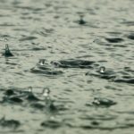 Como lluvia que empapa la tierra