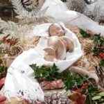 Celebraciones de Navidad – 2023/2024