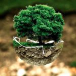 1S | Jornada de Oración por el Cuidado de la Creación: mensaje de los obispos de Acción Caritativa y Social